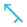 SE